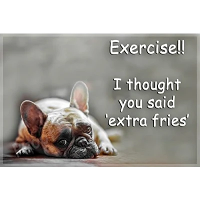 Image of French Bulldog Frenchie Dog funny Fridge Magnet perfect Birthday or Christmas Gift