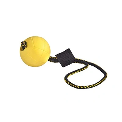 Image of DINGO GEAR WWW.DINGOGEAR.COM 1977 Magnetic Set for the Dog Training: Encased Magnet and Handle Rubber Ball