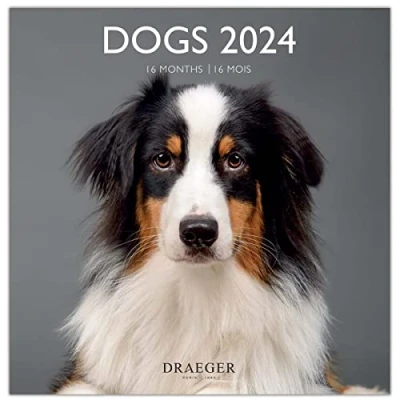 Image of DRAEGER PARIS Large Wall Calendar Dogs 2024 Hanging 29 x cm 16 Months Sep 23 to Dec 24 7 Languages Office Calendar, Home, Monthly Decoration, Organization FSC® Certified Paper