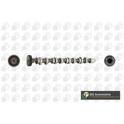 Image of 03L109022, 03L109022D Camshaft BGA CS9612 Exhaust Side VOLKSWAGEN: Transporter 5, GOLF 6, Scirocco III, AUDI: A4 B8 Saloon, A6 C7 Avant, Avant