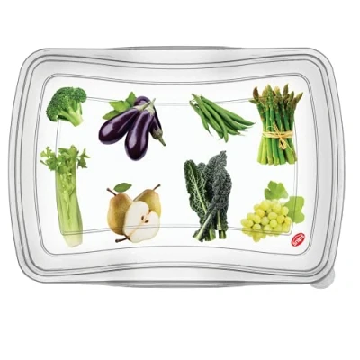 Image of Snips Food Classic Fresh Container 2 Liter Rectangular, Multi Color