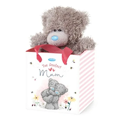Image of Perfect Mum Bear In Bag