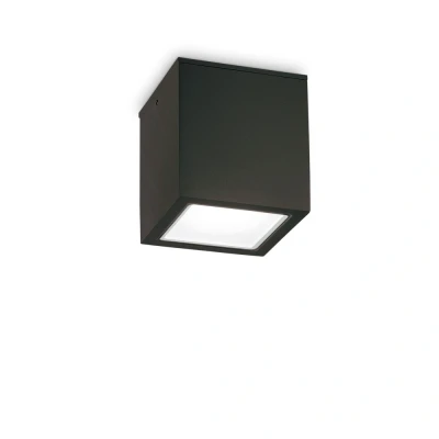 Image of Techo Outdoor Large Surface Mounted Downlight Black IP54, GU10