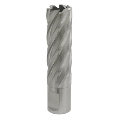 Image of Worksafe Rotabor Cutter HSS Ø20mm Cut Depth 50mm