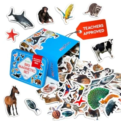 Image of Fridge Magnets For Toddlers Magdum 110 Gift ZOO + FARM SEA BIRDS FOREST Animals Animal Kids