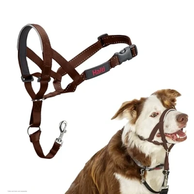 Image of HALTI Headcollar To Stop Your Dog Pulling on the Lead. Adjustable, Reflective and Lightweight, with Padded Nose Band. Training Anti Pull Collar for Medium Dogs (Size 2, Deep Walnut)
