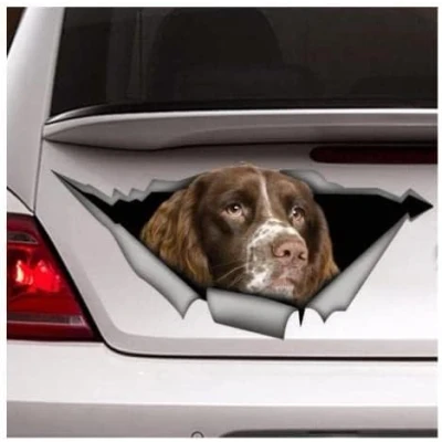 Image of ROPEME Car Stickers And Decals 25Cm(9.8In) Springer Spaniel Decal, Dog Sticker(Glh1D23426)