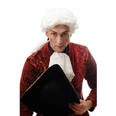 Image of Wig ME UP DH1126 P60 Halloween Carnival baroque Lord Judge Poet Noble white curls ponytail