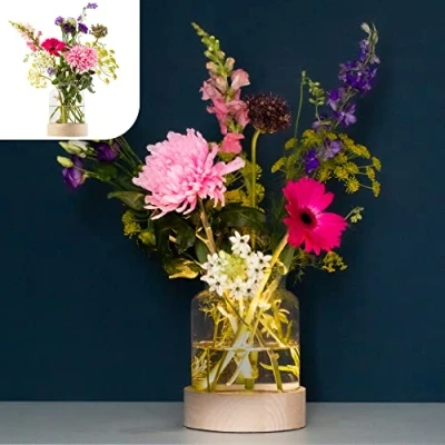 Image of Gadgy Glass Flower Vase Light Aesthetic Lamp Living Room Decoration Wooden Bottom Small for Table 20.5 x 16 cm