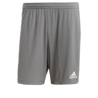 Image of adidas Men&#039;s Entrada 22 Shorts, Team Grey Four, M