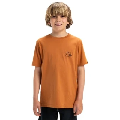Image of Quiksilver EVO Original TEE Unisex Print Tshirt for kids, Size: 8y, Bran