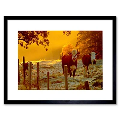 Image of Wee Blue Coo Cows Sunrise Misty Dew Art Framed Wall Print