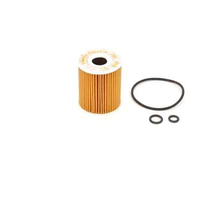Image of 03P115466 Oil Filter BOSCH F 026 407 144 with gaskets/seals Insert SEAT: Ibiza 4, VOLKSWAGEN: Polo V Hatchback, SKODA: Fabia 2