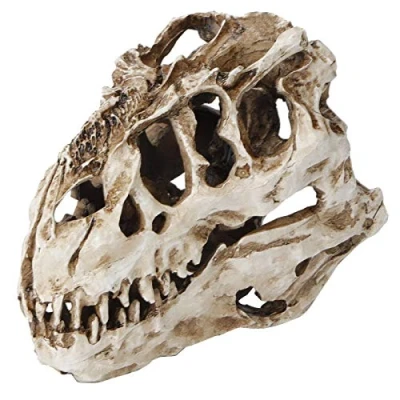 Image of GAESHOW Dinosaur Skull Model, Resin Skull, Personality Animal Skeleton Ornaments Props, Simulated Home Office Display Decorative Craft