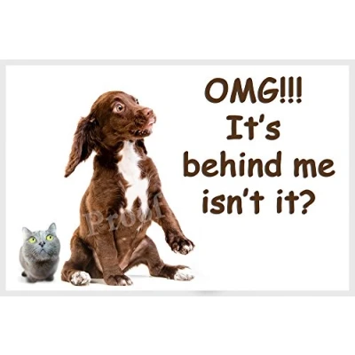 Image of Brown Sprocker Cocker Spaniel Puppy Funny Fridge Magnet Gift
