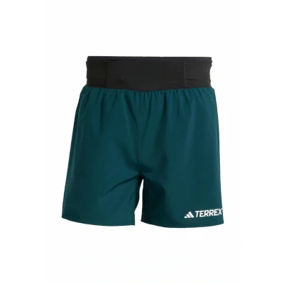 Image of Adidas Terrex Sports shorts, Men&#039;s, Size: Sx5&quot;, Aurora ivy
