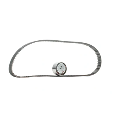 Image of VKM12206, VKMT02206 Timing belt kit SKF VKMA 02206 129 with rounded tooth profile FIAT: 500 Hatchback, Grande Punto III Hatchback