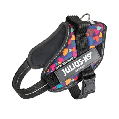 Image of IDC Powerharness, Size: S/Mini, Mixed Heart (Limited Edition)