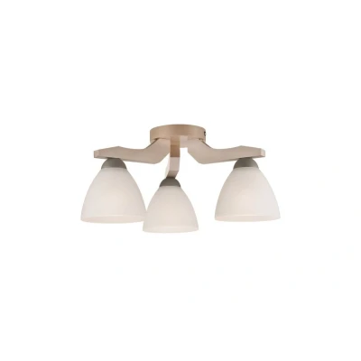 Image of Adriano Multi Arm Semi Flush Ceiling Light, Glass Shades, White Beech, 3x E27