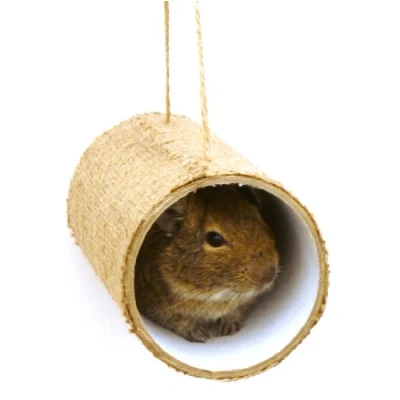 Image of Premium Chewchewbs Totally Degu 2 pack