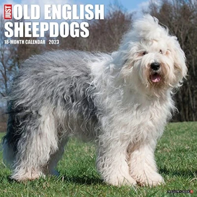Image of Just Old English Sheepdogs 2023 Wall Calendar