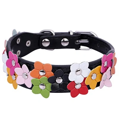 Image of Pet Moon Soft PU Leather Dog Collar Flower Colour Padded Mulitple Colours (Black, Small(12 14.5 in))