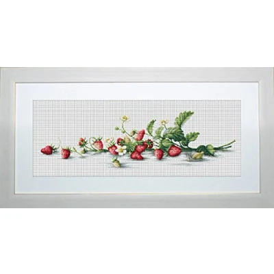 Image of Lucas S Etude with Strawberries Counted Cross Stitch Kit, Pack of 1