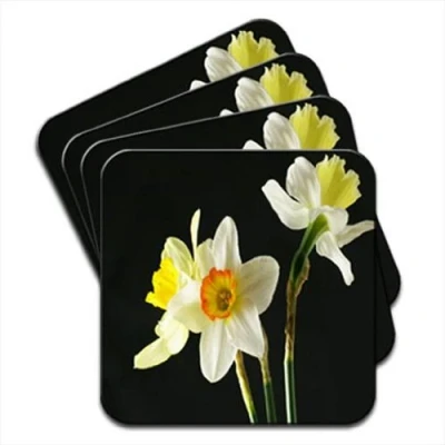 Image of Daffodil Or Narcissus Flowers Set of 4 Coasters