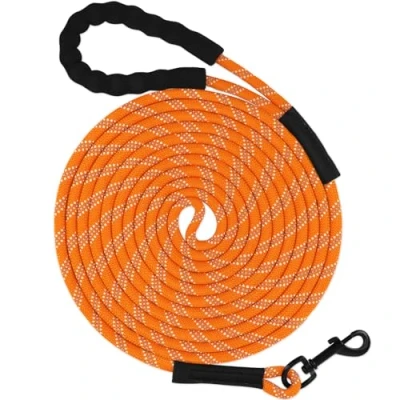 Image of Taglory Training Lead for Dogs 5 m, Reflective Long Dog Rope with Soft Padded Handle Small Medium Large Dogs, Orange