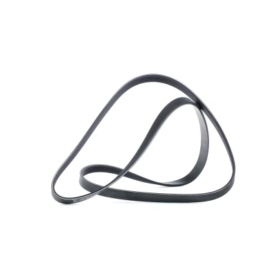 Image of 55350421 V ribbed belt DAYCO 5PK1545 1545,0mm 5 VAUXHALL: Corsa Mk3, Zafira Mk2, Astra Mk5, SUZUKI: Grand Vitara 2 SUV, 1 SUV