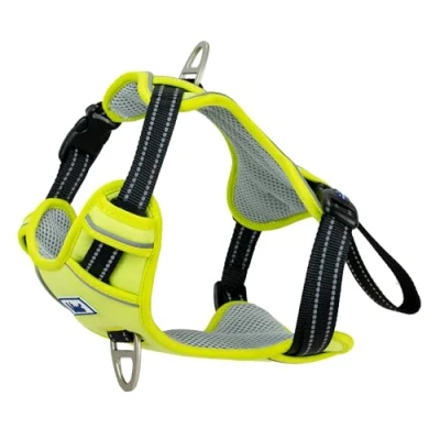Image of Ancol Viva Exercise and Travel Dog Harness in Lime Comfortable Pet Accessory with Padded Chest 2 Leash Clips Small 35 45cm