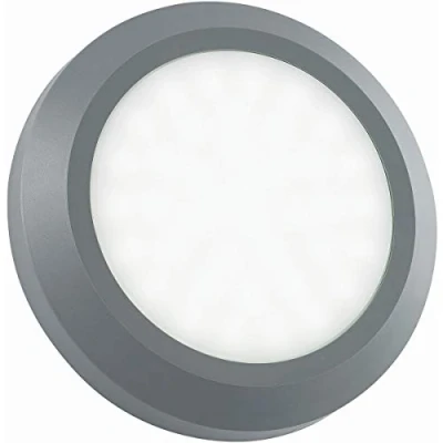 Image of Severus Grey Finish Direct Warm White LED Outdoor Round Guide Pathway Driveway Wall Light IP65 Rated
