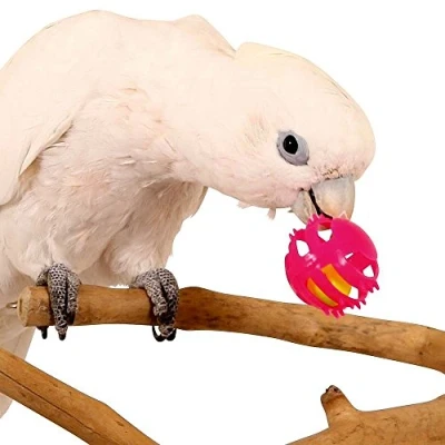 Image of Parrot Essentials Roll &amp; Ring Foot Toy for Parakeets, Budgies and Parrots Pack of 3 Toys African Grey, Cockatoo, Macaw, Amazon Other Large Birds, Budgie Toys, Cockatiel
