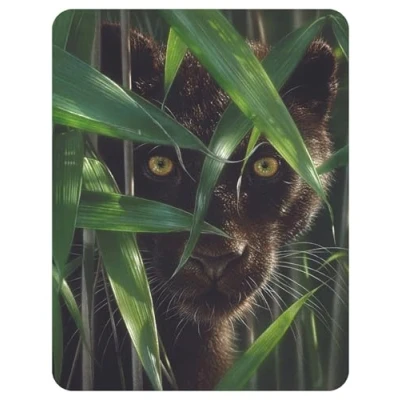 Image of 3D LiveLife Magnet Wild Eyes from Deluxebase. Lenticular Safari Fridge Magnet. Magnetic decor for kids and adults with artwork licensed renowned artist, Collin Bogle