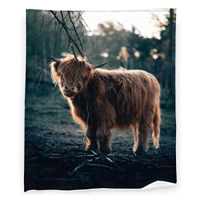 Image of Highland Cow Throw Blanket Flannel Fleece Fuzzy Blankets Soft Warm Cozy for Bed Couch Sofa Living Room Kids 50&quot;x40&quot;