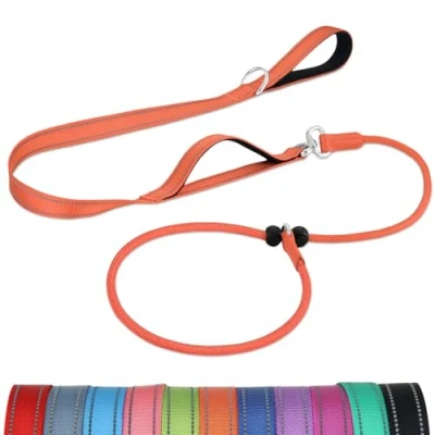 Image of Joytale Tangle Free Slip Lead for Dogs, 1.8m with Double Padded Handle, Anti Pull Training Leash Puppy Small Medium Dogs(6 18 KG), Orange