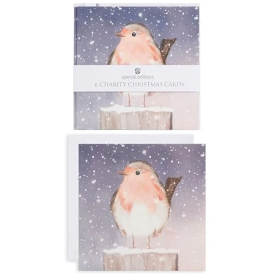 Image of Pack Of 6 Festive Robin Charity Christmas Cards Multiple Charities