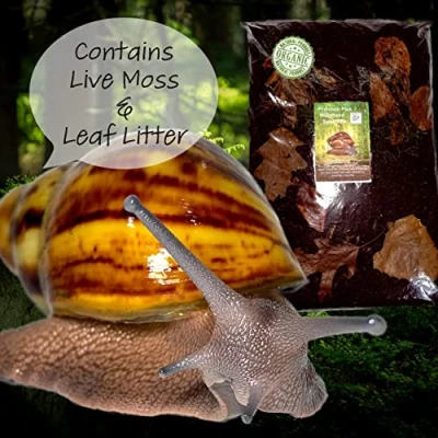 Image of Bugznbits Premium Plus + Woodland land snail Soil. African substrate (3 litre)