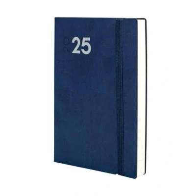 Image of Finocam Dynamic Mara 2025 Page A Day Diary January December (12 Months) Blue International