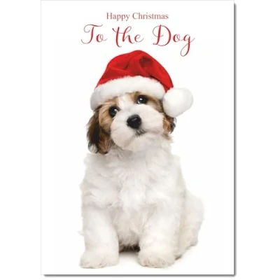Image of doodlecards To The Dog Christmas Card and Santa Hat Medium Size for with Plain Envelope