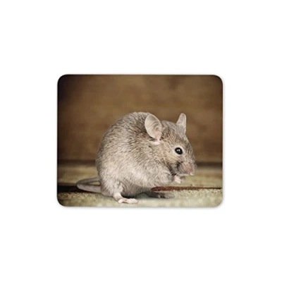 Image of Destination Vinyl ltd Cute Mouse Rat Mat Pad Rodent Small Animal PC Computer #8424