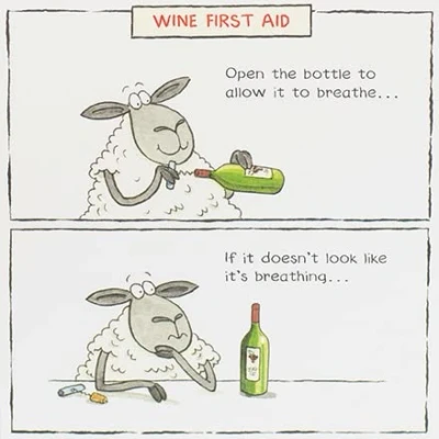 Image of Funny Sheep Wine Bottle First Aid Happy Birthday Card Humour Greeting