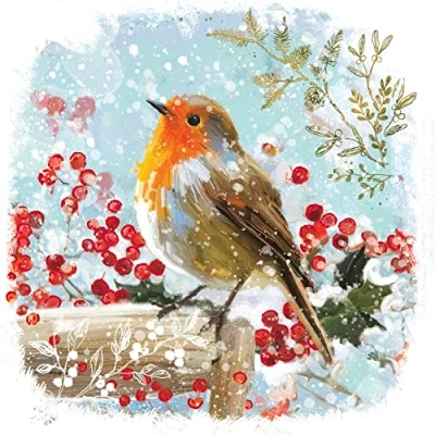 Image of Pack of 8 Festive Robin Red Breast NSPCC Charity Christmas Cards Xmas 556985