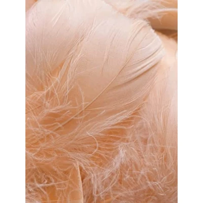 Image of Peach Feathers, 100 Pack