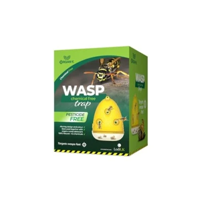Image of Insecto Wasp Trap