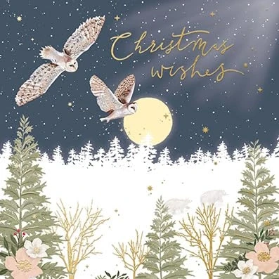 Image of 6 Winter Moonlit Owls Christmas Cards Charity Xmas Made in the UK