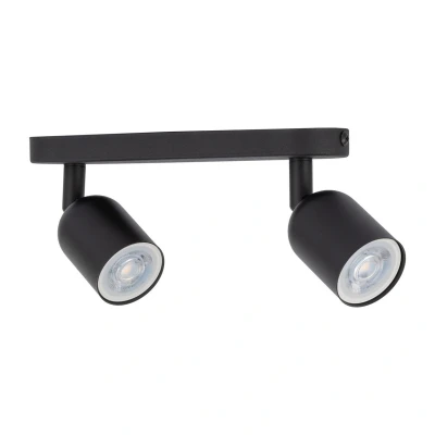 Image of TK Lighting Top downlight, 2 bulb, black
