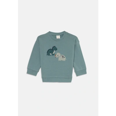 Image of Sweatshirt with brushed inside