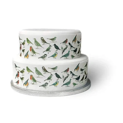 Image of Top That Edible Decor Sheet British Garden Birds Wildlife themed Border Ribbon Perfect for Decorating Your Cakes Easy to Use