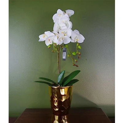 Image of Leaf 54cm Artificial Orchid Plant White with Gold Pot